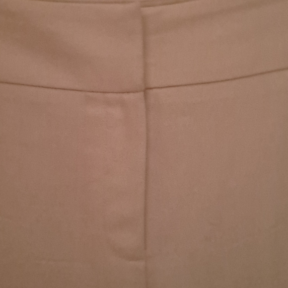 COPY - Woman cream wool lined pants Sz 8P Ann Taylor Loft - Picture 2 of 3